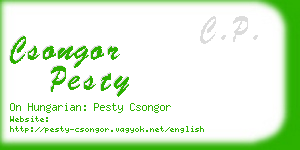 csongor pesty business card